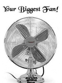 Your Fan If The Day