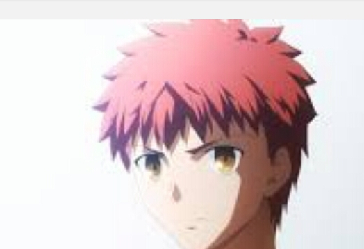 Siapa Lu Di Anime Fate Series ?