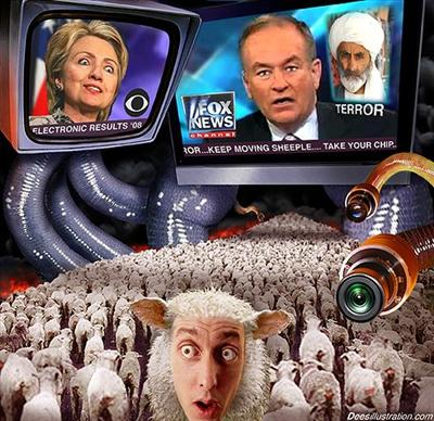 What Type Of Sheep Are You?