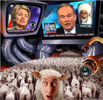 What Type Of Sheep Are You?