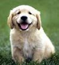 Are You Happy?
