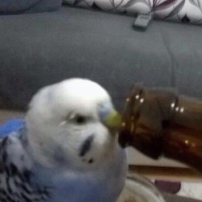 Bendeki Nefret Oranın