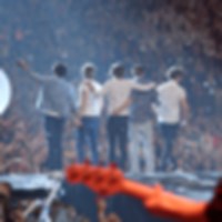 Are You A True Directioner?