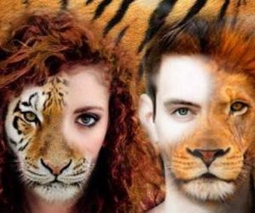 Che animale potresti essere