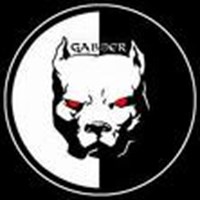 Gabber Ho Warriors