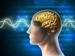 Zeki Misin