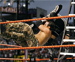 Tu Y El Campion De Wwe