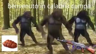 Che Tipo Di Majmun Sei?