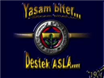 Bugün Ne Kadar Fenerbahçelisin