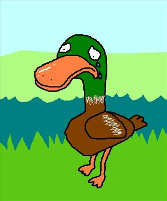 Happy Quack