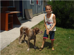 Mrb Ölen Köpeğim