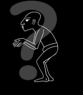 Test De Inteligencia