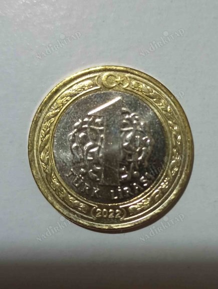 Yazı
