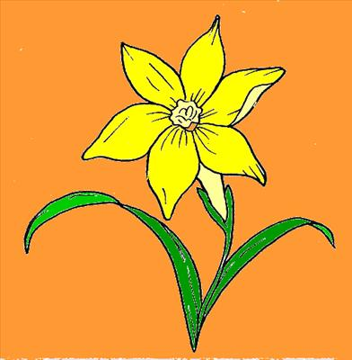What Flower R U??