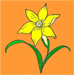 What Flower R U??