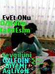 Diyar