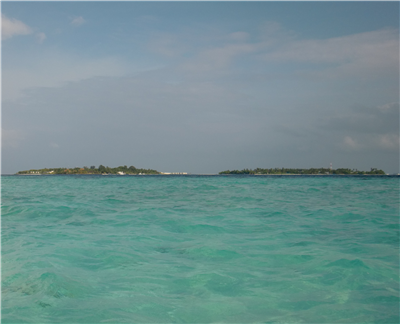 Reef Fishes Of Makunufushi