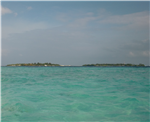 Reef Fishes Of Makunufushi