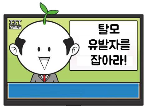 당신의 탈모 유발자는?