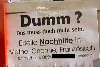 Bist Du Dumm Oder Schlau?