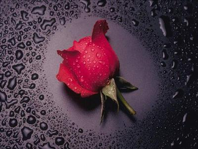 Romantis