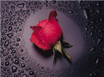 Romantis
