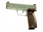 What Pistol Is Right For You?