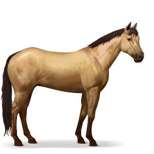 Lequel De Mes Chevaux Es Tu? (Sso)