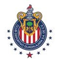 Cual De Estos Gana