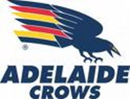 Which Afl Team Will Win The Grand Final 2010