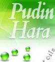 Pudin Hara