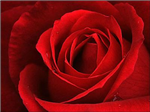 Hangi Rénk Séni Anlatıyor..??