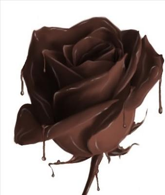 Ice-Cream Or Chocolate Hmmmmmm