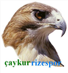 Ne Kadar Rizeli'sin ?