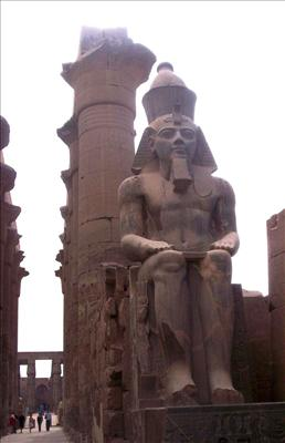 مصر