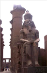 مصر