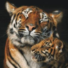 What Wild Animal Are You?