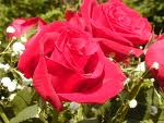 Specially For You