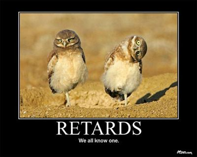 How Overall Stupid Are You?