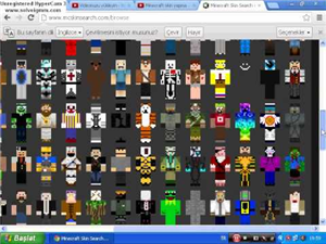 Hangi Mineceraft Skin'isin