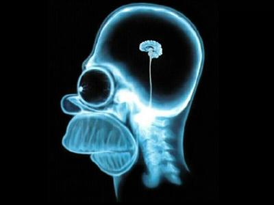 Brain Functionality