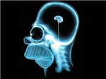 Brain Functionality