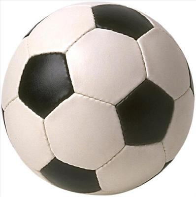What Sport Were You Born To Play ?