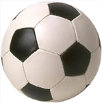 What Sport Were You Born To Play ?