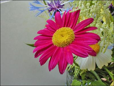 Şans Testi