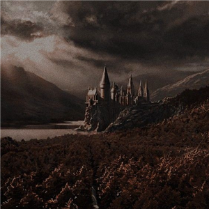 Hangi Harry Potter Karakterisin?