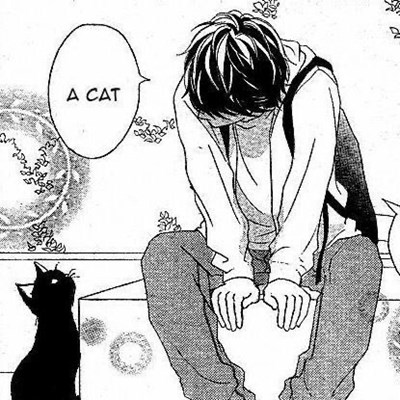 Ne kadar Ao haru ride biliyon 