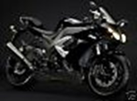1000Cc Big Cats