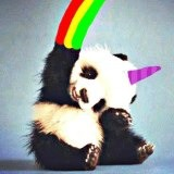 Eres Un Pandicornio :3