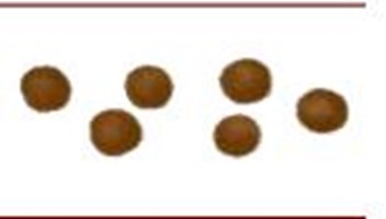 Bristol Stool Chart